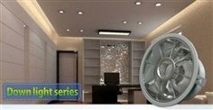 Ceiling Light (Induction Lamp)