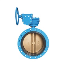 Concentric Flanged butterfly valve
