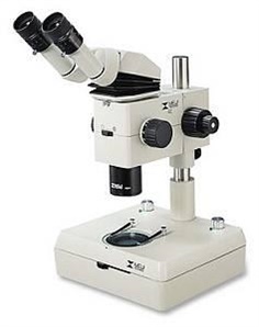 Research Stereo Microscope (CMO)