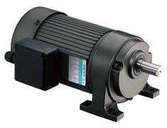 AC Precision Gear Motor(G12H-100~400W)