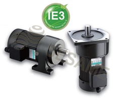 IE3 Premium Efficiency Gear Motor