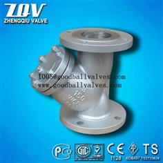 Flanged and Threaded Stainless Steel Y Strainer