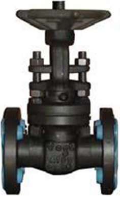 363: Forged Gate Valve Class 300