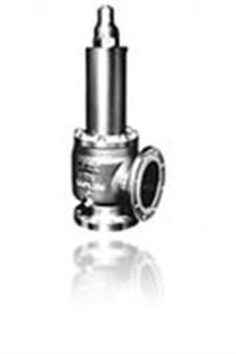 Conventional Safety Valve