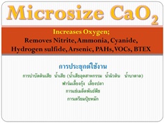 Microsize 30% CaO2 solution ปลดปล่อยอ๊อกซิเจน บ่อเลี้ยงกุ้ง-ปลา บำบัดน้ำเสีย บำบัดดินเสีย
