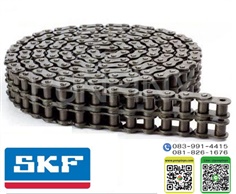 Roller Chain ANSI SKF