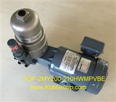 NOP Trochoid Pump With Motor TOP-2MY200-210HWMPVBE-15 0.4MPa, 200V