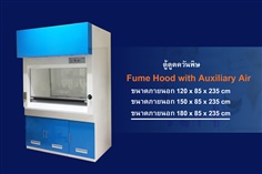 Fume Hood With Auxiliary Air