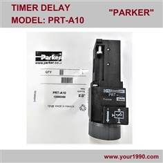 Parker Delay Timer