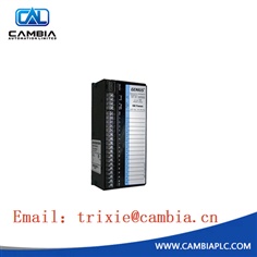 GE IC697CPU781 ~trixie@cambia.cn