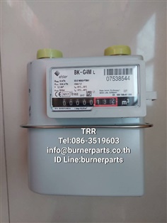 "ELSTER" diaphragm gas meter BK-G4  Qmax 6m3/h