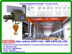 Crane Explosion Proof , เครนไฟฟ้าเหนือศีรษะกันระเบิด