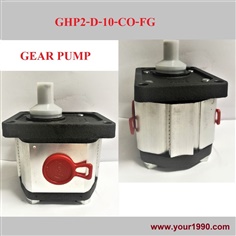 Gear Pump