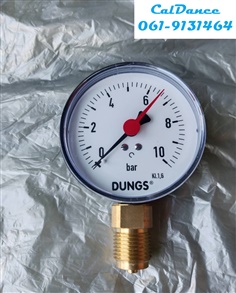 "DUNGS" Pressure Gauge RF 80
