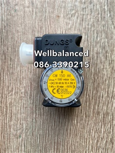 " DUNGS " Pressure Switch Model : GW 150 A6