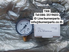 Dungs Pressure gauge 0-160 mbar