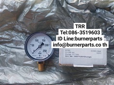 Dungs Pressure gauge 0-250 mbar
