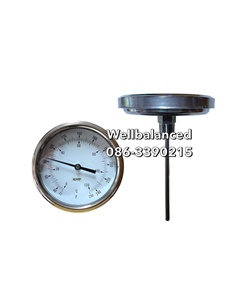 Thermometer Gauge (Temp gauge) 4" 0- 120 C