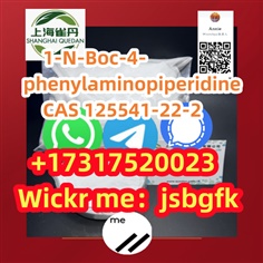 Reliable supplier 1-N-Boc-4-phenylaminopiperidine  125541-22-2