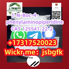 Best price 1-N-Boc-4-phenylaminopiperidine  125541-22-2