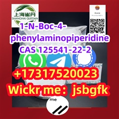 Fast delivery 1-N-Boc-4-phenylaminopiperidine  125541-22-2