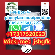 99% purity 1-N-Boc-4-phenylaminopiperidine  125541-22-2