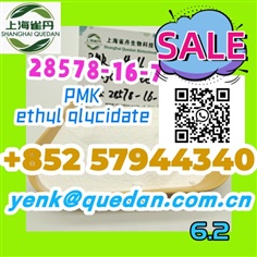 28578-16-7,PMK ethyl glycidate +852 57944340  High quality