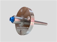 WIKA Flanged Thermowell TW10