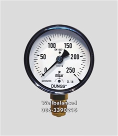 "DUNGS" Pressure Gauge 3" 0-250 mbar 