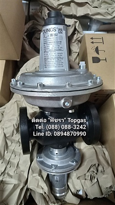 "DUNGS" Medium pressure regulator FRM-NOC 10020 MD/SAV MD 