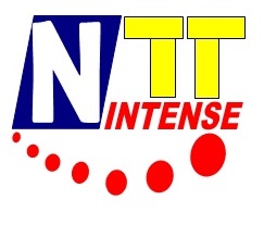 NTT INTENSE CO.,LTD., บริษัท เอ็นทีที อินเท็นซ จำกัด