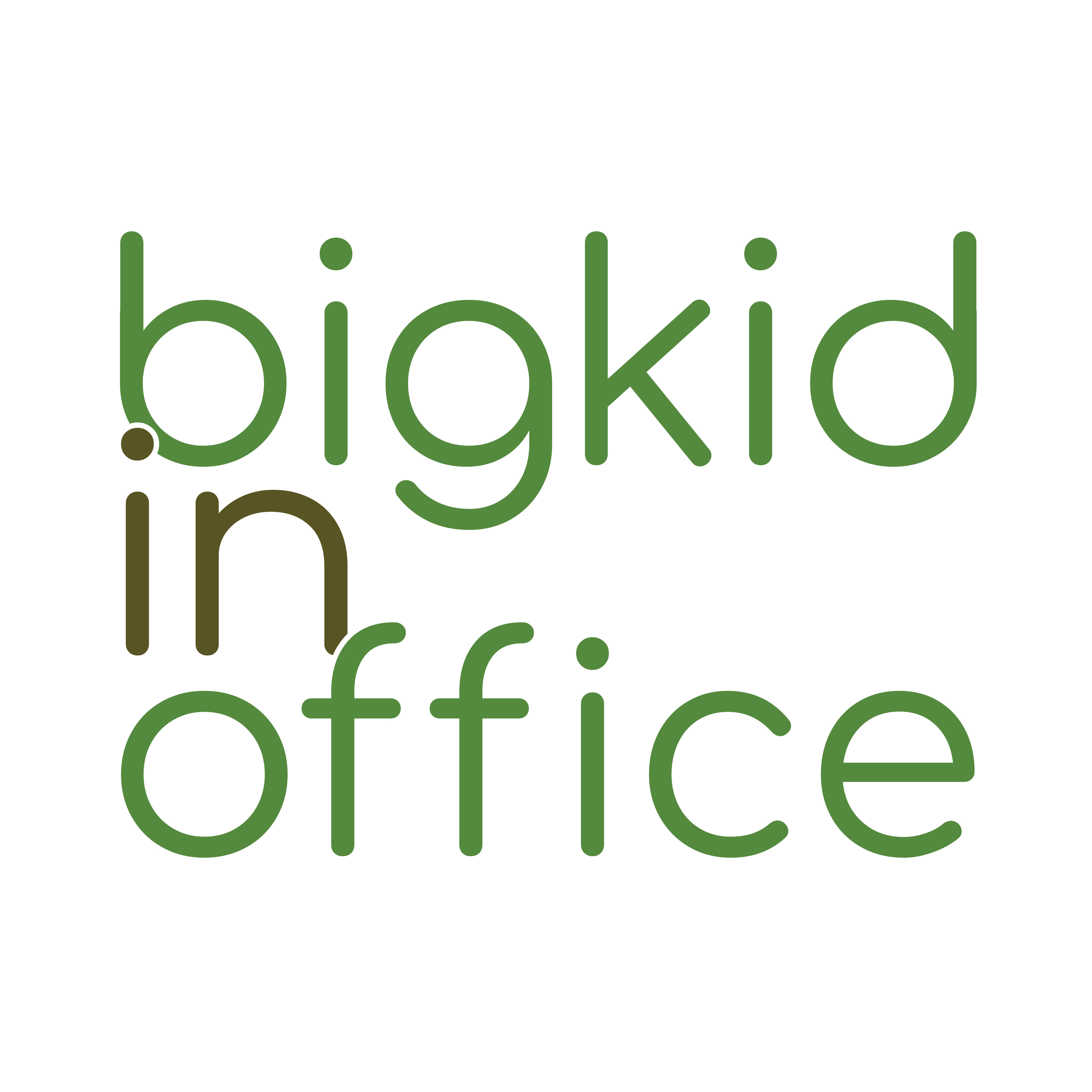 BIGKIDINOFFICE CO.,LTD., บริษัท บิ๊กคิดอินออฟฟิศ จำกัด
