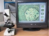 กล้องดูผิวโลหะXJP-2B Metallurgical Microscope