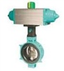 tomoe valve