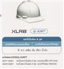AOSafety หมวกนิรภัย รุ่น XLR8 รองในไนล่อน 6 จุด