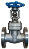 integrated forged gate valve