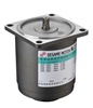 AC Speed Controlled Motor(4RK25RAGN-A)