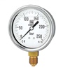 Liquid Filled Pressure Gauge : MGS10 - DS63