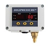 GREEN SYSTEM Digital Pressure : DPF-L 