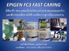 นำเข้า (ปลีกส่ง) EPIGEN FC3  Fast Curing อีพ๊อกซี่หรือสารเซรามิคคอมโพสิทซ่อมงานไฟเบอร์กลาส กาวซ่อมงานไฟเบอร์กลาส