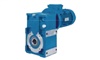 PARALLEL & RIGHT ANGLE SHAFT GEAR REDUCERS & GEAR MOTORS