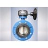 concentric flange butterfly valve รหัสสินค้า DN40-DN1000-11