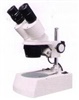 Microscopes Digital