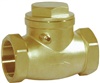 Class 150 Swing Check Valve Screwed End