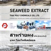 สาหร่ายผง, ผงสาหร่าย, Seaweed extract, Seaweed powder, สาหร่ายสกัด, ซีวีดเอ็กซ์แทร็กซ์