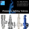 stainless steel safety valve Safety Valve (Safety Valve สแตนเลส)