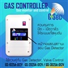GSEC Gas Controller Model: GS-3D25A-D12