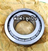 F-84874.NUP INA Cylindrical Roller Bearing Single Row,  Full Complement, No Cage, F84874-10 