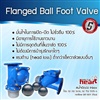 Ball Foot Valve