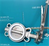 BUTTERFLY VALVE , SEAT PTFE , DISC STAINLESS STEEL